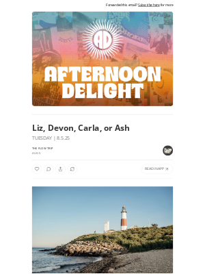 Whalebone - Liz, Devon, Carla, or Ash ☀️