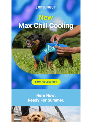 Canada Pooch - NEW Max Chill Cooling 🌞🧊