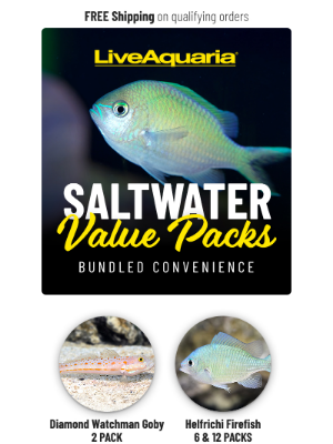 LiveAquaria - 🦀 Bundle Up Your Reef