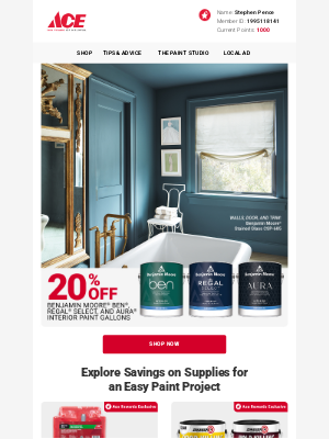 Ace Hardware - 20% OFF | The Ben Moore Event 🎨
