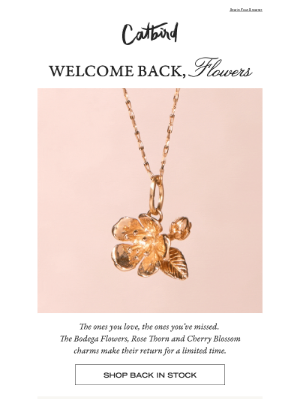 Catbird - They're Back 🌸