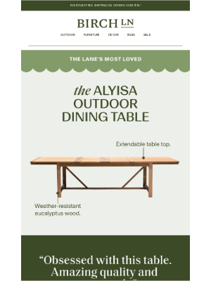Birch Lane - “Obsessed with this table.”