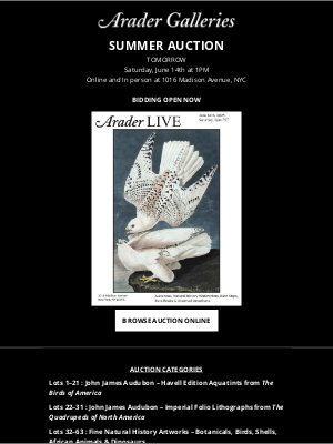 Donghia - Arader Galleries SUMMER AUCTION - TOMORROW - Bidding Open Now
