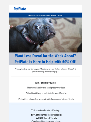 PetPlate - 😱 Beat the Spooky Sunday Scaries 👻
