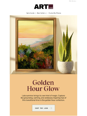 Art - Where Calm Meets Color