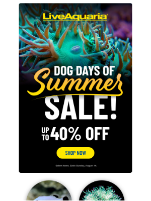 LiveAquaria - 👉 Save up to 40% with this tail wagging sale!