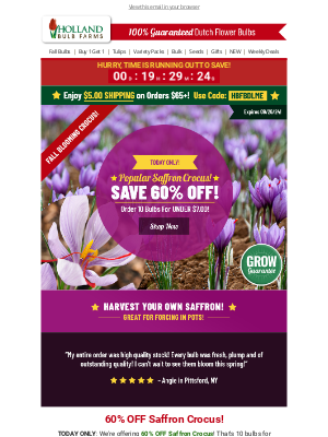 Holland Bulb Farms - 60% OFF Saffron Crocus ⭐ HOURS LEFT!