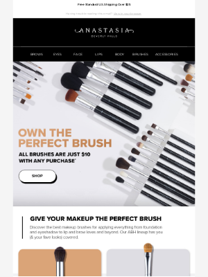 Anastasia Beverly Hills - $10 Brushes Perfect For Your Summer Looks!