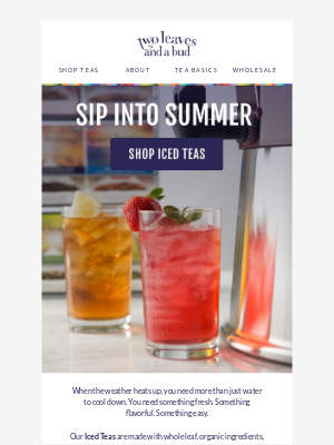 Groupon - One Bag. One Gallon. Summer, Sorted!