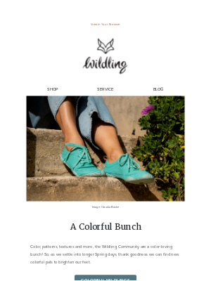 Wildling Shoes (United Kingdom) - A Colorful Bunch