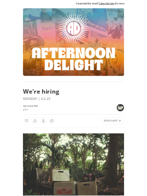 Whalebone - We're hiring ☀️