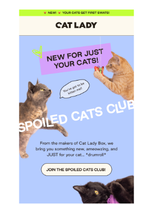 CatLadyBox - Introducing the Spoiled Cats Club! 🎉