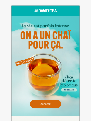 NOUVEAU chaï ultra-calmant avec reishi