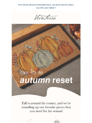 VivaTerra -  Sneak Peek: Fresh Fall Finds Just Dropped