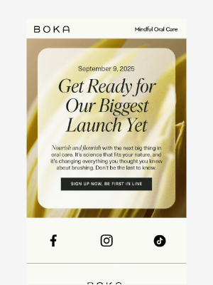 Boka - Boka’s Biggest Launch is Almost Here