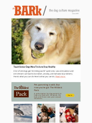 BarkGoods - Teach Senior Dogs New Tricks to Stay Healthy