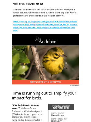 National Audubon Society - [Match Offer] Your support is what birds need right now