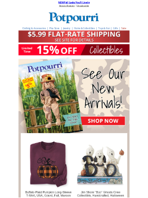 Potpourri Online Catalog - 🍂  Style, Comfort & Color—Fall in Love