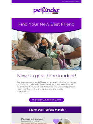 Petfinder - Looking for a New Best Friend?