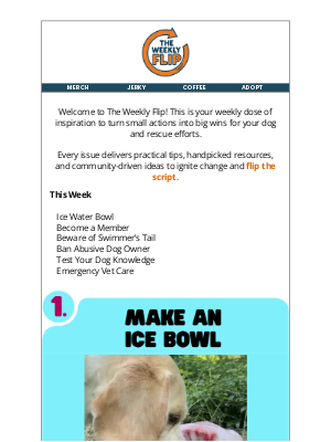 The Dog Bakery - 🔄 The Weekly Flip