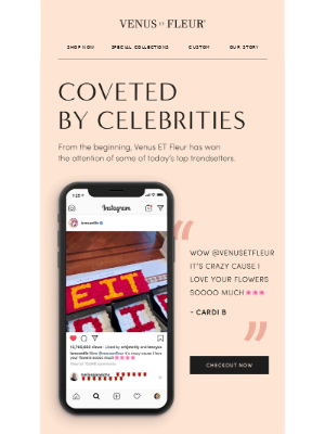 Venus Fleur email design example