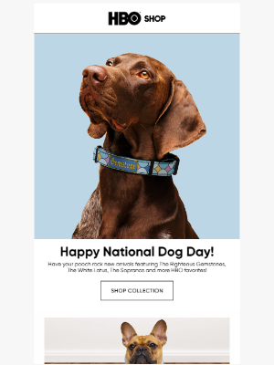 HBO - Celebrate Your Furry Friend Today 🐾