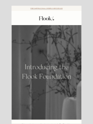 Flook The Label - Introducing the Flook Foundation