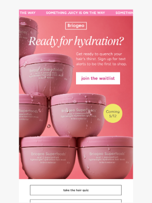Briogeo Hair Care - Hair hydration made even more delicious🩷