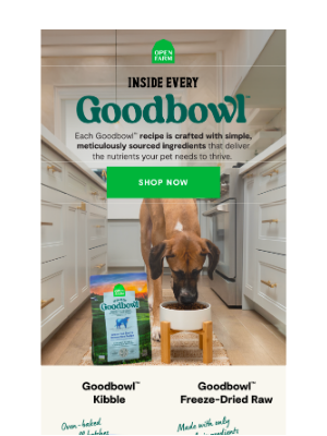 Open Farm - Why are pet parents switching to this bowl?