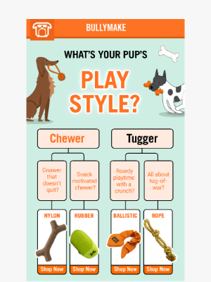 BULLYMAKE - Chewer vs. Tugger? Let's Find Out! 🔍