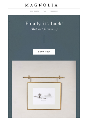 Magnolia Market - This favorite is back!