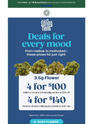 Final Hours 🚨 4 for $100 or $140 Deals 🌿