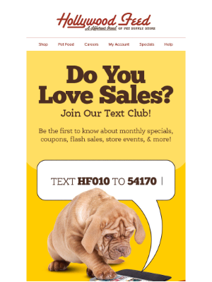 Hollywood Feed - Do you love sales? Join our Text Club! 📱🛍️