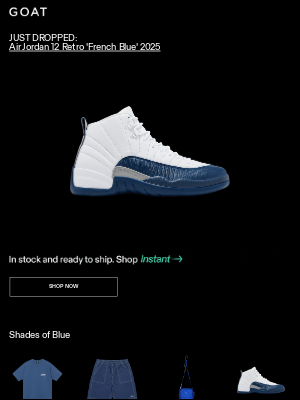 GOAT - JUST DROPPED: Air Jordan 12 Retro 'French Blue' 2025