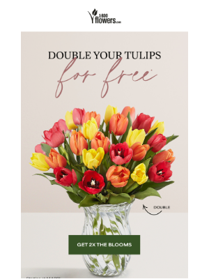 Two times the flowers at NO extra cost