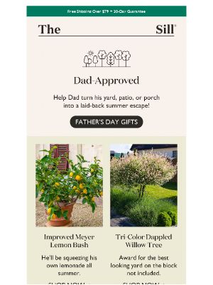The Sill - PSA: Order now for Father's Day