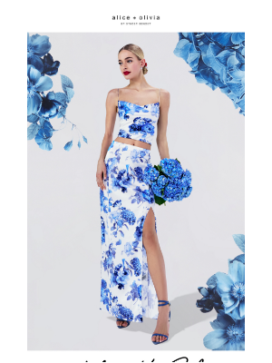 alice + olivia - OUR BIGGEST SALE OF THE SUMMER