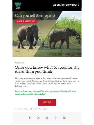 Wildlife Conservation Society - African or Asian elephant: Can you tell the difference?