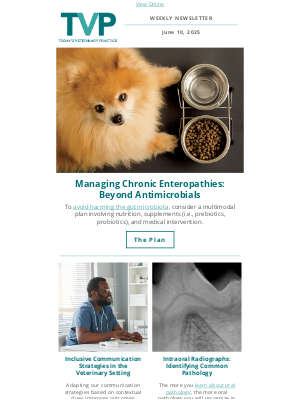 Todays Veterinary Practice - Chronic Enteropathies: Enhance Your Management Plan