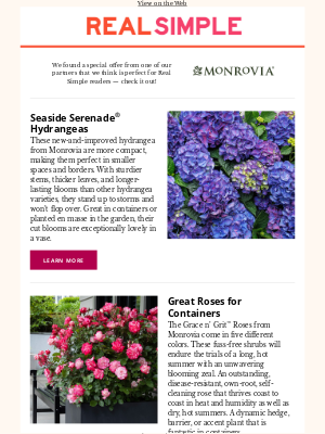 Traditional Home - Spring is here! Monrovia has the plants you need