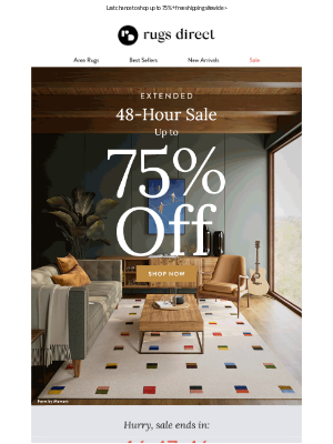 Rugs Direct - EXTENDED: 48-Hour Sale
