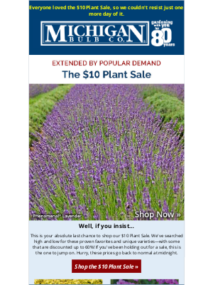 Michigan Bulb Co. - You won't believe these are just $10