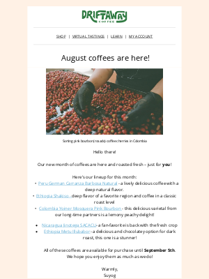 Driftaway - NEW August Coffees Are Here ☕✨