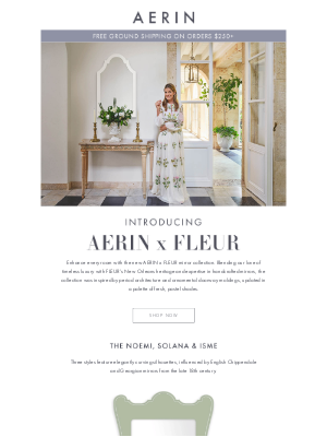 AERIN LLC - Introducing AERIN x FLEUR