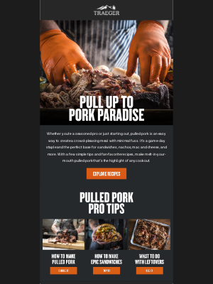 Traeger Grills - Ultimate Pulled Pork Guide