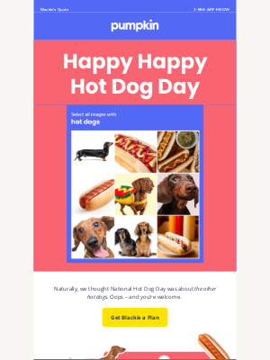 Pumpkin Petcare - National Hot Dog Day is here ‼️