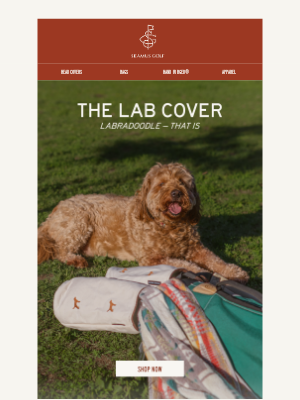 SEAMUS GOLF - Your Golf Game Just Got a Pup-grade!