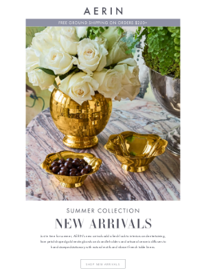 AERIN LLC - Discover New Arrivals