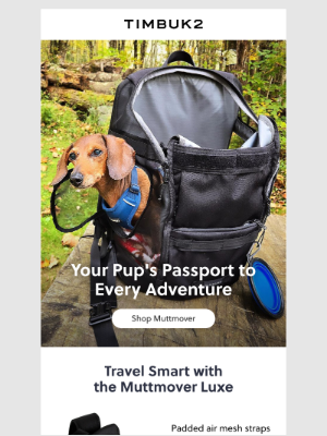 The Bag Designed for Dog Parents