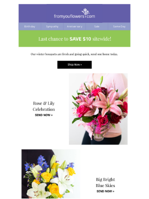 From You Flowers - Preferred Customer, Your $10 Off Expires Tonight!
